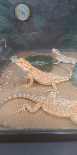 Pet Supply Store «Petco Animal Supplies», reviews and photos, 760 Queen St, Southington, CT 06489, USA