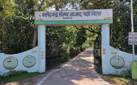 Shaheed Chandra Shekhar Azad Bird Sanctuary, Nawabganj image
