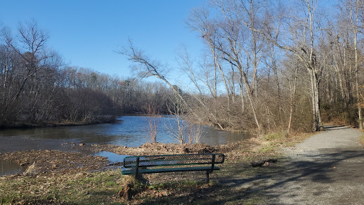 Scenic View Bench