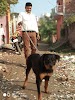 user