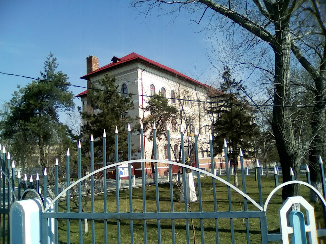 Colegiul Tehnic "Alexe Marin" - Școală