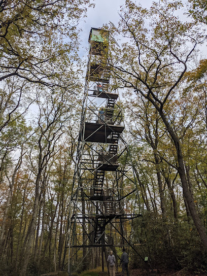 Historic Fire Tower #9