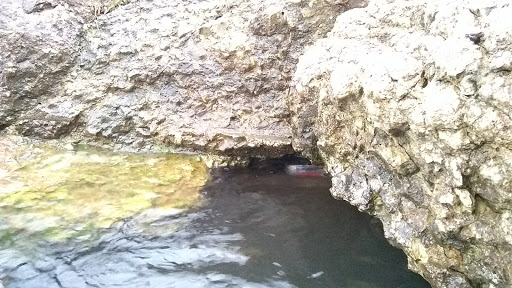 Park «Maggie Daley Park», reviews and photos, 337 E Randolph St, Chicago, IL 60601, USA