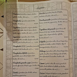 Photo n°3 de l'avis de Carmine. fait le 24/12/2017 à 13:13 sur le  Pizzeria Criscemunno à Salerno