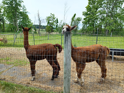 Trout Brook Sugarhouse and Alpacas