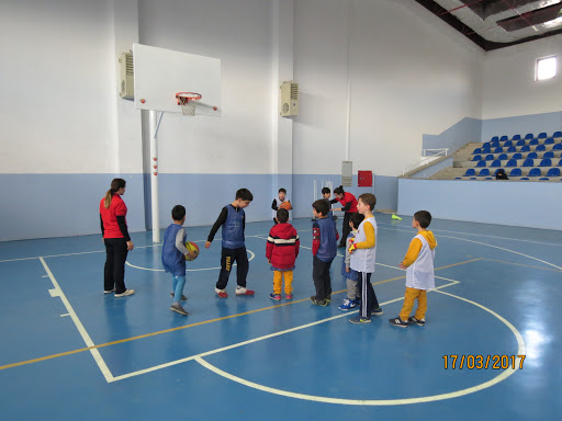 Basketbol Kulübü Diyarbakır
