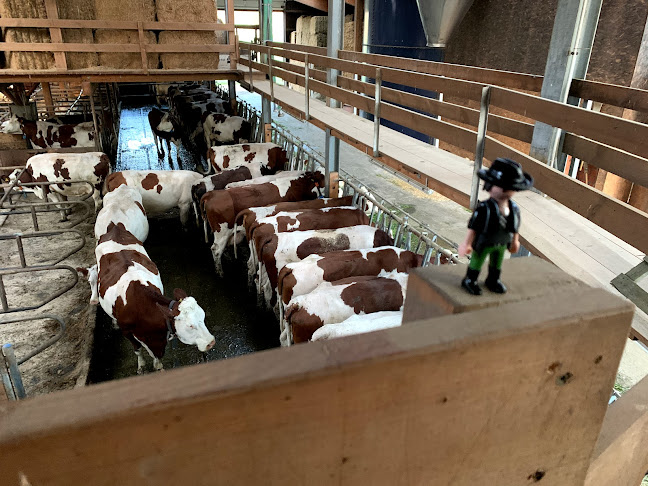 La Ferme Des Tourbières