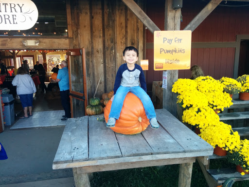 Festival «Temple Hall Fall Festival & Corn Maize», reviews and photos, 15855 Limestone School Rd, Leesburg, VA 20176, USA