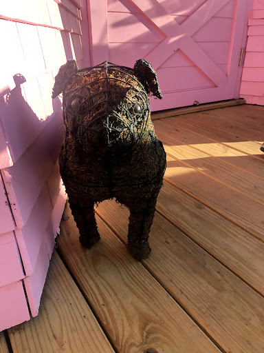 Ice Cream Shop «Pugnuts Ice Cream Shop», reviews and photos, 1276 ME-172, Surry, ME 04684, USA