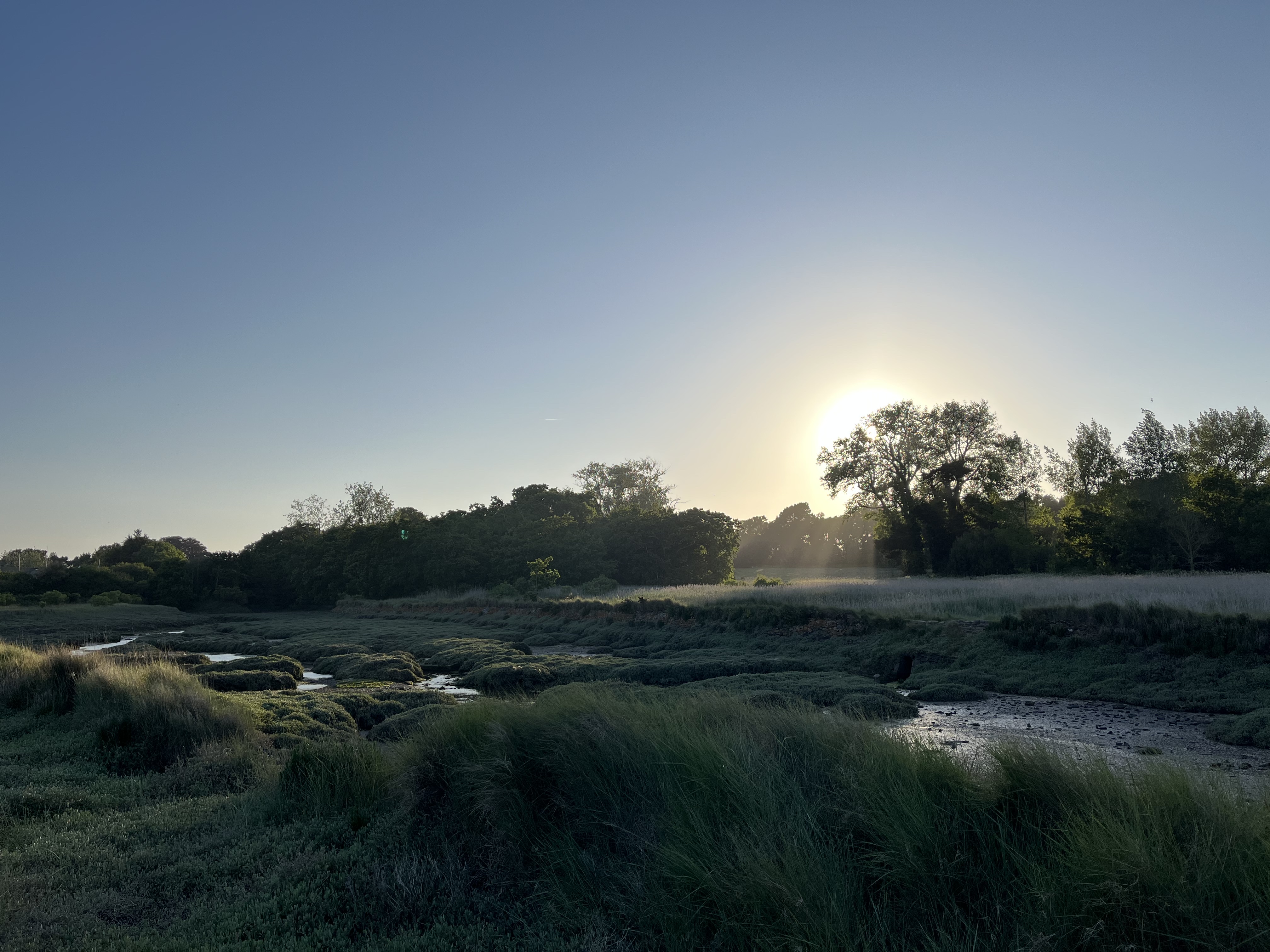 Photo n° 1 de l'avis de Tex. fait le 10/10/2022 à 08:44