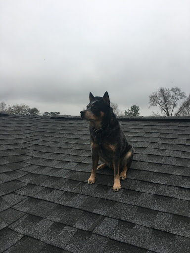 Roofing Contractor «Big Bear Roofing», reviews and photos, 2408 Ashley River Rd s, Charleston, SC 29414, USA