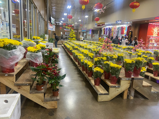 Asian Grocery Store «Hong Kong Market», reviews and photos, 2615 W Pioneer Pkwy, Grand Prairie, TX 75051, USA