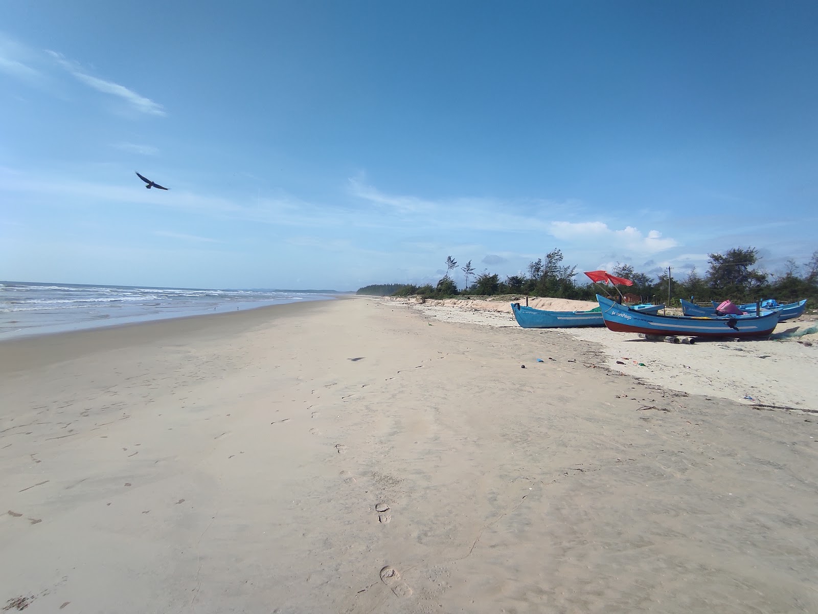 Dhareshwar beach'in fotoğrafı çok temiz temizlik seviyesi ile