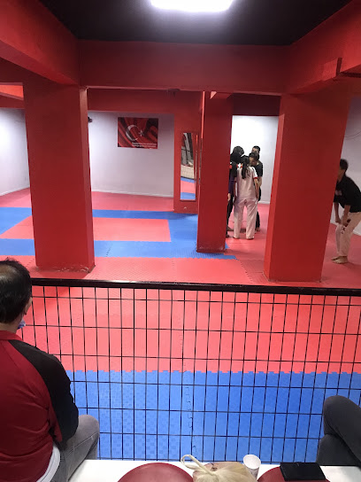 Bilge Taekwondo Spor Kulübü - Tekvando Okulu
