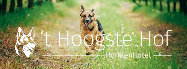 't Hoogstehof hondenhotel