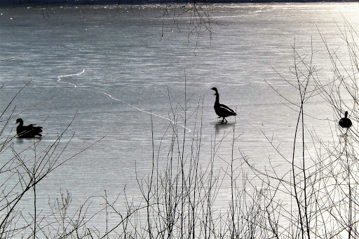 Park «D.W. Field Park», reviews and photos, D W Field Pkwy, Brockton, MA 02301, USA