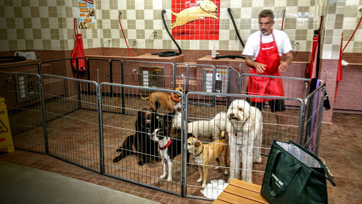 Pet Supply Store «Pet Food Express», reviews and photos, 9153 W Olympic Blvd, Beverly Hills, CA 90212, USA