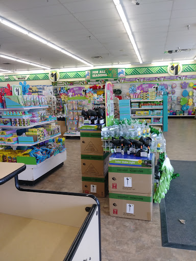 Dollar Store «Dollar Tree», reviews and photos, 1061 S York Rd, Bensenville, IL 60106, USA
