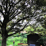 Photo n° 4 de l'avis de Fiona.. fait le 21/05/2023 à 20:17 pour Ferme pédagogique Marcel Dhénin - Ville de Lille à Lille