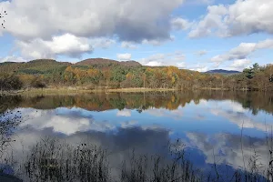 Scottish Wildlife Trust - Loch of the Lowes Visitor Centre & Wildlife Reserve image
