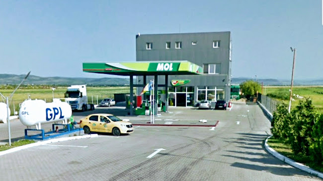 MOL gas station & Casa Antonia - Bed & Breakfast