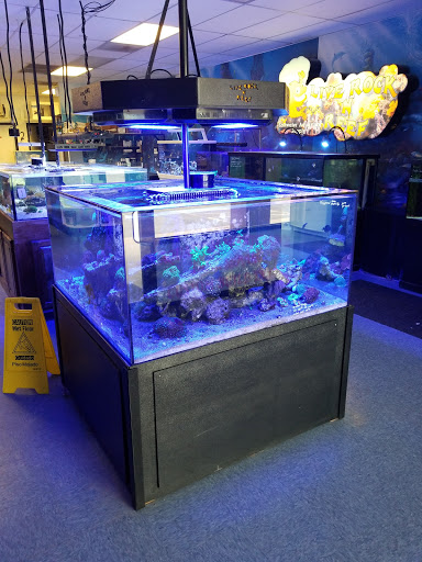 Tropical Fish Store «Live Rock N Reef», reviews and photos, 2196 W 3500 S, West Valley City, UT 84119, USA