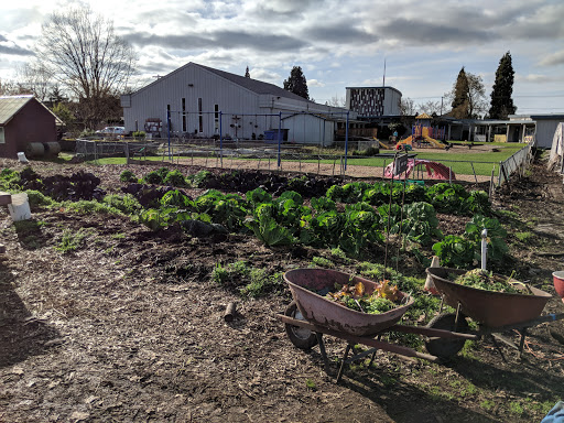 GrassRoots Garden - FOOD for Lane County