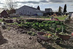 GrassRoots Garden - FOOD for Lane County image