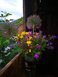 Baumpflege / Naturgartenbau, Marcel Ackermann