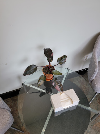 Florist «Toadflax Inc», reviews and photos, 5500 Walnut St, Pittsburgh, PA 15232, USA