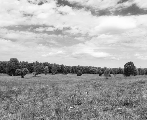 Battle Site «Spotsylvania Court House Battlefield», reviews and photos, 9550 Grant Dr, Spotsylvania, VA 22553, USA