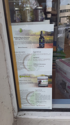 Pet Store «South Beach Pet Shop», reviews and photos, 634 6th St, Miami Beach, FL 33139, USA