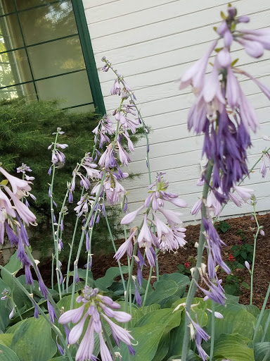 Event Venue «Modern Living Building», reviews and photos, 1301 S Fair Ave, Yakima, WA 98901, USA