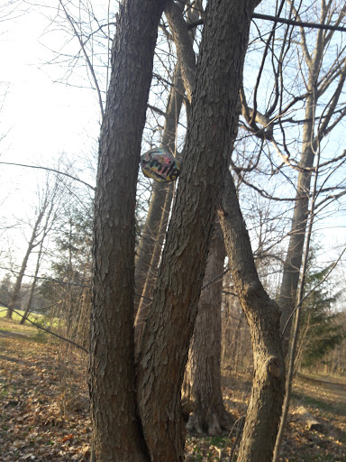 Park «North Olmsted Community Park», reviews and photos, 28114 Lorain Rd, North Olmsted, OH 44070, USA