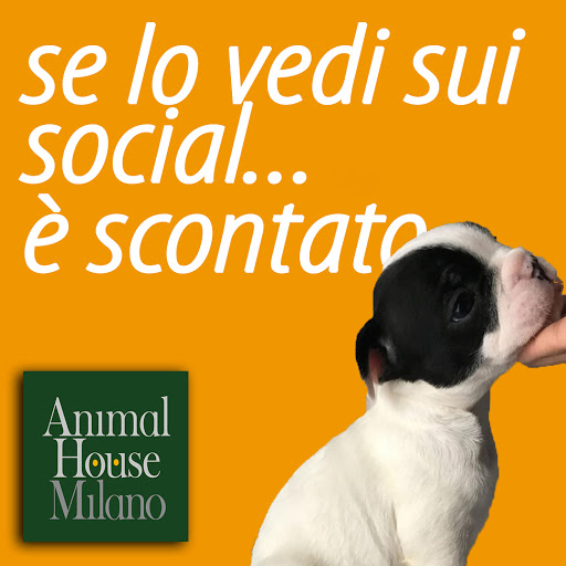 Animal House Milano