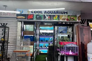 COOL Aquarium image