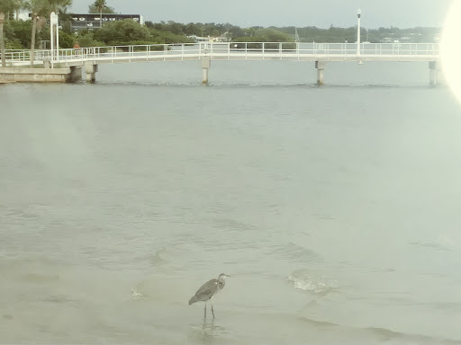 Casino «City of Gulfport: Gulfport Casino Ballroom», reviews and photos, 5500 Shore Blvd S, Gulfport, FL 33707, USA