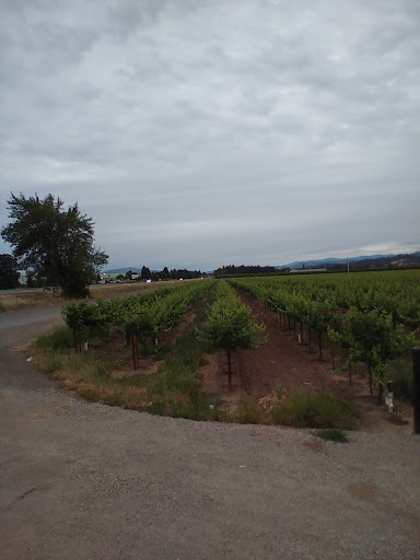 Gas Station «Quik Stop», reviews and photos, 1105 Airport Park Blvd, Ukiah, CA 95482, USA