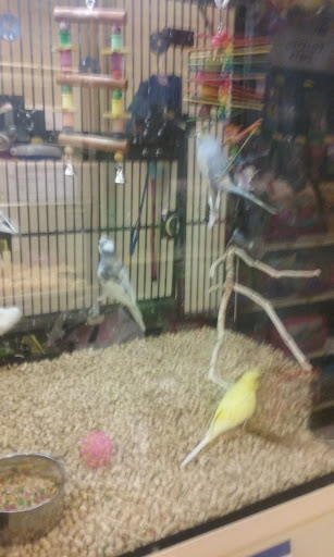 Pet Supply Store «PetSmart», reviews and photos, 198 Promenade Blvd, Flowood, MS 39232, USA