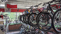 Patio Bike Shop - Photo 6 - Car repair in Hales Corners, WI, Milwaukee