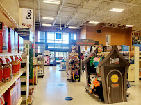 PetSmart - Photo 1 - Car repair in Hanover, MD, Baltimore