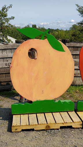 Orchard «Weed Orchards & Winery», reviews and photos, 43 Mt Zion Rd, Marlboro, NY 12542, USA