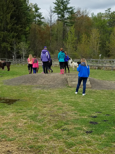 Farm «Dakota Ridge Farm», reviews and photos, 189 E High St, Ballston Spa, NY 12020, USA