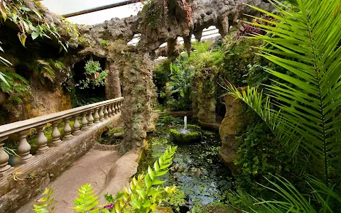 Dewstow Gardens & Grottoes image