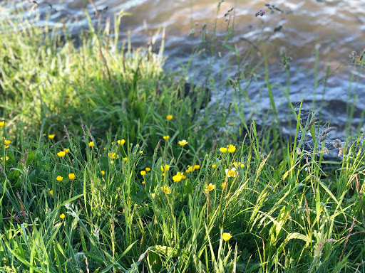 Park «Colman Park», reviews and photos, 1800 Lake Washington Blvd S, Seattle, WA 98144, USA