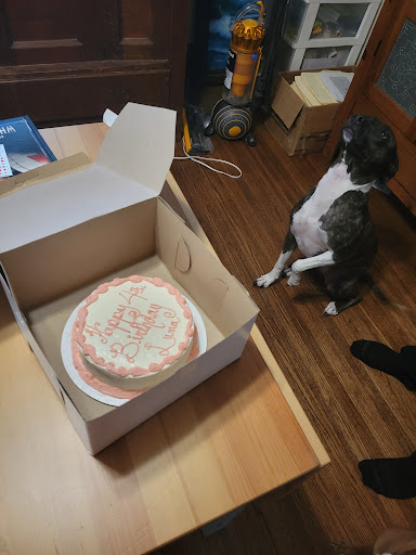 Bakery «Woofies Gourmet Dog Bakery», reviews and photos, 5087 W Ridge Rd, Spencerport, NY 14559, USA