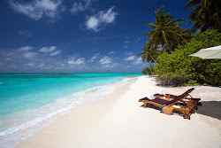 Foto von Strand der Insel Kanifushi mit geräumige küstenlinie