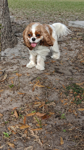 Park «Creekwood Park», reviews and photos, 7025 44th Ave E, Bradenton, FL 34205, USA