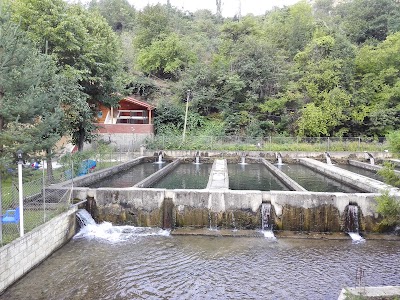 Photos of apartagara pansiyon