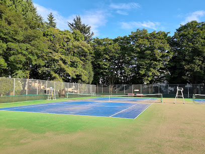 所沢航空記念公園 テニスコート